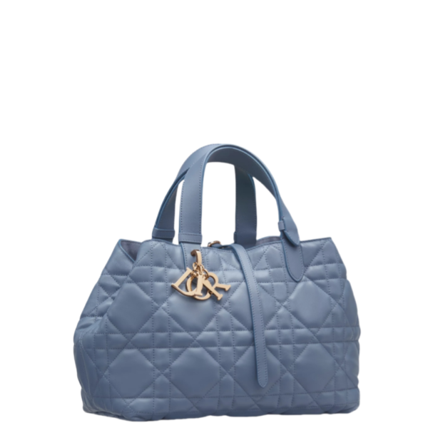 Medium Dior Toujours Bag