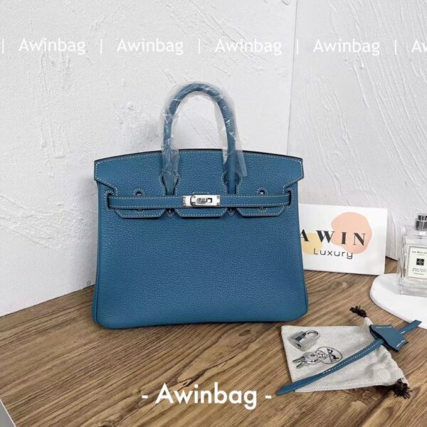 HERMES Birkin 25 Silver Buckle Togo Leather Birkin Handbag