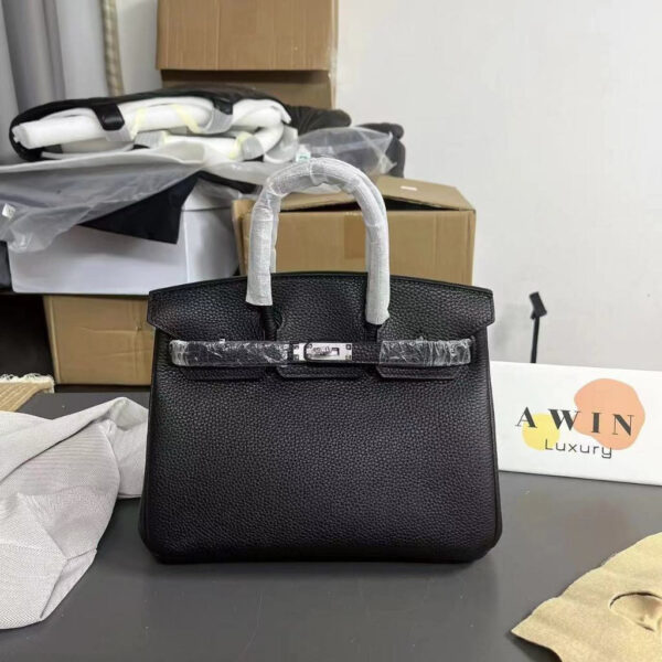 HERMES Birkin 25 TN leather silver buckle platinum bag handbag