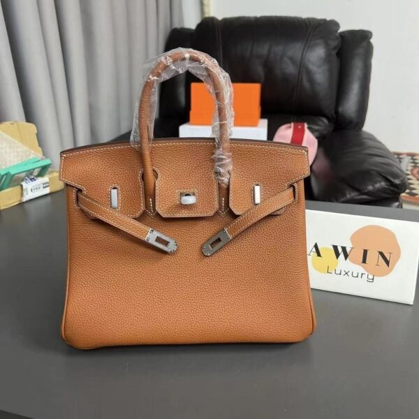 HERMES Birkin 25 Silver Buckle Togo Leather Birkin Handbag