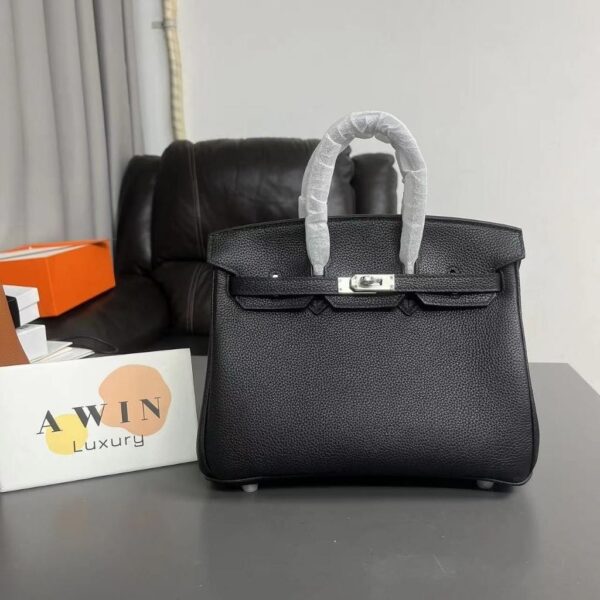 HERMES Birkin 25 TN leather silver buckle platinum bag handbag